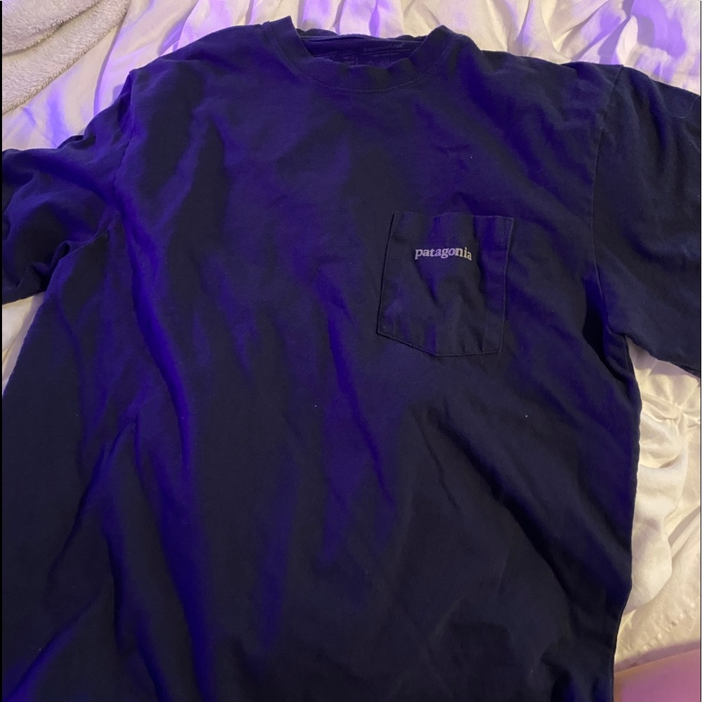 Patagonia tshirt